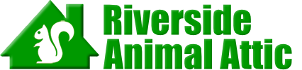 Riverside Animal Attic
